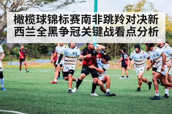 橄榄球锦标赛南非跳羚对决新西兰全黑争冠关键战看点分析